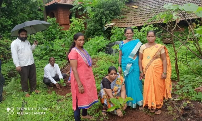 WhatsApp Image 2026-01-17 at 1.39.34 PM (1)